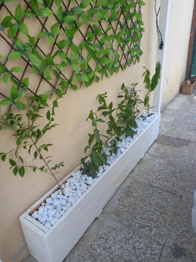 Double Room Fucecchio Exterior photo